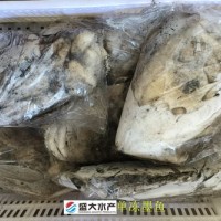 單凍墨魚/花枝/烏賊，干凍沒有泡水，產自福建東山島