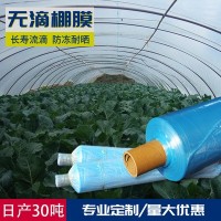 大棚膜PE長(zhǎng)壽抗老化西瓜淡藍(lán)色農(nóng)用溫室PO葡萄蔬菜透明無滴雙防膜