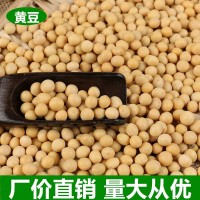 廠家直發(fā)東北糧食大豆農家自產散裝粗糧優(yōu)質五谷雜糧批發(fā)黃豆