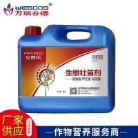 廠家批發(fā) 植物生長調節(jié)劑 保花保膨果安普樂生根壯苗劑 現(xiàn)貨批發(fā)