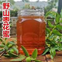 農場蜂蜜棗花蜜 蜂農自產自銷棗花原蜜貼牌 500g土蜂蜜批發(fā)