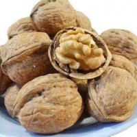 新貨上市，常年供應核桃，質量保證 價格優惠
