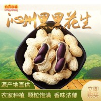 現貨供應沁州黑黑花生五谷豆?jié){原料辦公室休閑零食小吃 2件起批