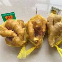山東出口級(jí)大姜 安丘生姜5斤裝精美小包裝 源頭廠(chǎng)家直銷(xiāo)
