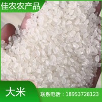 2022優(yōu)質珍珠米 現貨直售生態(tài)大米 飽滿粒圓 無添加劑