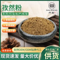 廠家供應燒烤調(diào)味料家用烤肉羊肉串調(diào)料餐飲燒烤調(diào)味品孜然粉