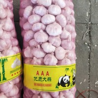 大蒜公司，源頭工廠供應(yīng)金鄉(xiāng)出口大蒜，超市大蒜